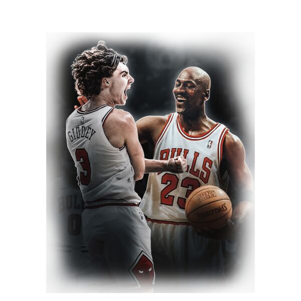 WHERE NEW SCHOOL MEETS OLD SCHOOL BULLS T-SHIRT Thumbnail